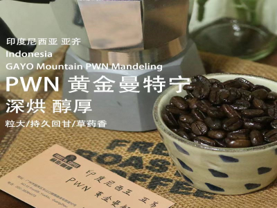 엄선된 인도네시아 만델링｜최고 품질의 만델링 핸드드립 원두는 골든 만델링일까? 모카포트 초보자 친화적인 중강배전 싱글 오리진 원두 추천