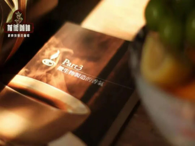 커피 풍미｜왜 어떤 커피에서는 '간장' 맛이 날까? 커피 풍미는 어떤 요인들의 영향을 받을까? 커피에서 '간장' 맛이 나는 것을 어떻게 피할 수 있을까?