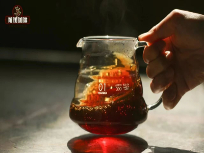 가정용 커피 추출 방법｜사이폰과 모카포트의 커피 추출 원리는 무엇인가? 사이폰 커피와 모카포트 커피 중 어느 것이 더 맛있는가?