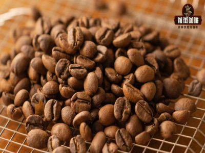 에스프레소 원두 블렌드 추천｜블렌드 커피의 장점은 무엇인가요? 에스프레소 원두의 추출 분수 비율은 어떻게 결정하나요?