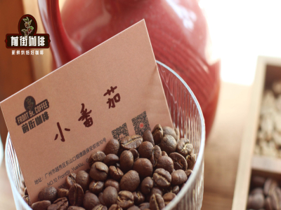 콜드브루 기원 이야기｜콜드브루 커피는 왜 Dutch coffee 네덜란드 커피라고 불릴까? 콜드브루 커피 포트는 어떻게 사용할까? 콜드브루에는 어떤 커피 원두를 선택할까?