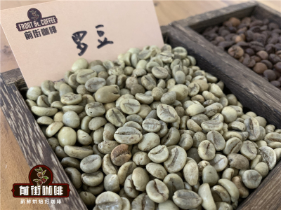 아라비카(Arabica)와 로부스타(Robusta) 전방위 비교 로부스타와 아라비카 블렌드 에스프레소 원두 소개