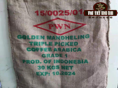 딩상 골든 만델링 Gold Top Mandheling｜인도네시아 딩상 만델링 커피콩과 PWN 골든 만델링 커피콩은 풍미와 식감에 어떤 차이가 있을까?