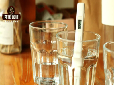식수 품질｜어떤 물이 핸드드립 커피에 적합할까? 물의 어떤 요소가 커피 추출에 영향을 미칠까? 커피 초보자는 커피추출용 식수를 어떻게 선택해야 할까?

