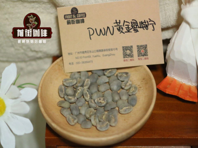인도네시아 만델링 커피 품종｜PWN 골든 만델링은 아라비카 커피인가요? 핸드드립 사이폰 에어로프레스 프렌치프레스 중 골든 만델링을 추출하기에 어떤 것이 적합할까요?