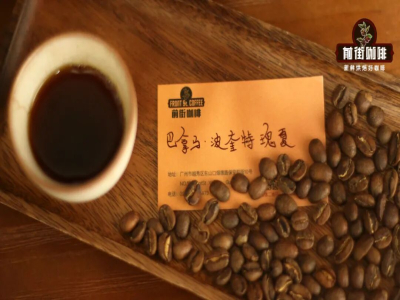 워시드 커피｜워시드 프로세스란 무엇인가? 워시드 원두는 어떤 특징이 있나요? 케냐 워시드 커피 원두로 핸드드립하면 맛있나요?